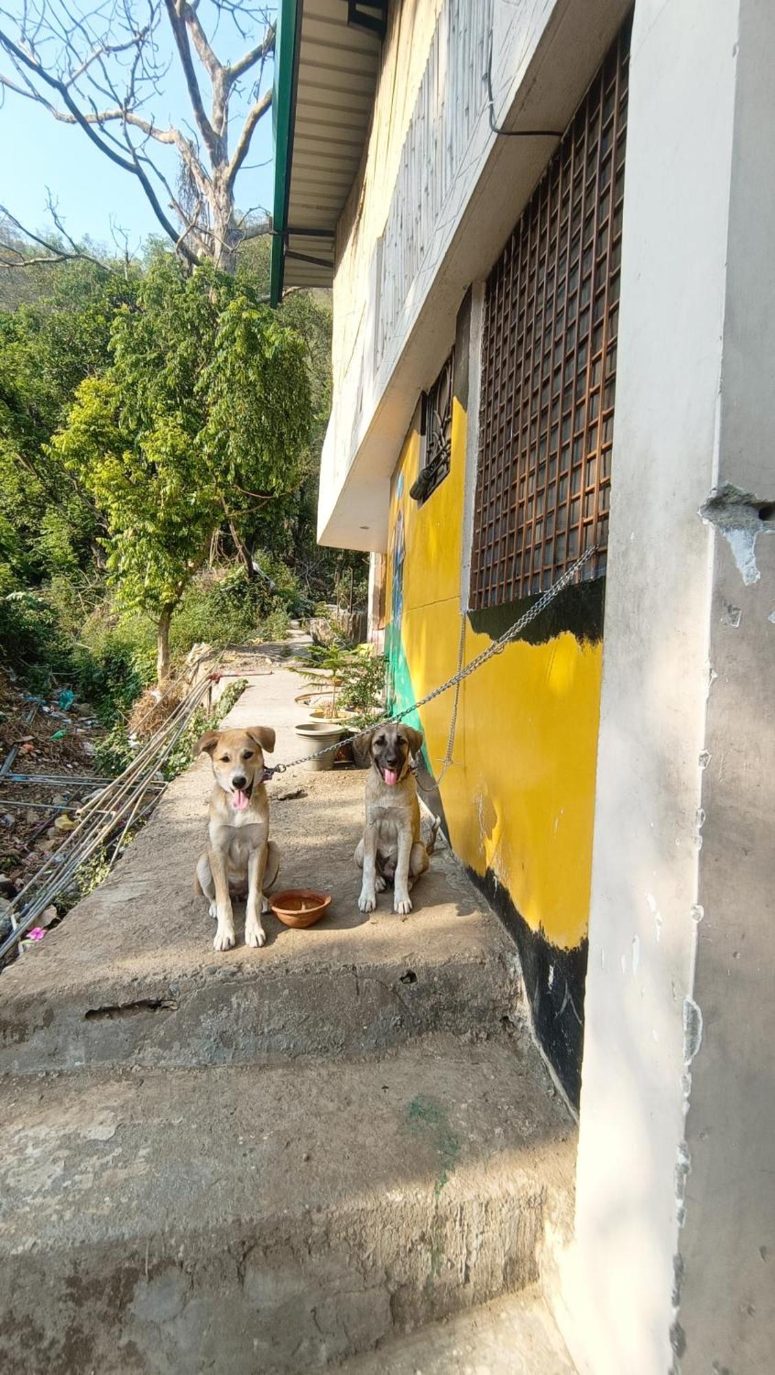 Blabla House Rishikesh 호스텔 외부 사진