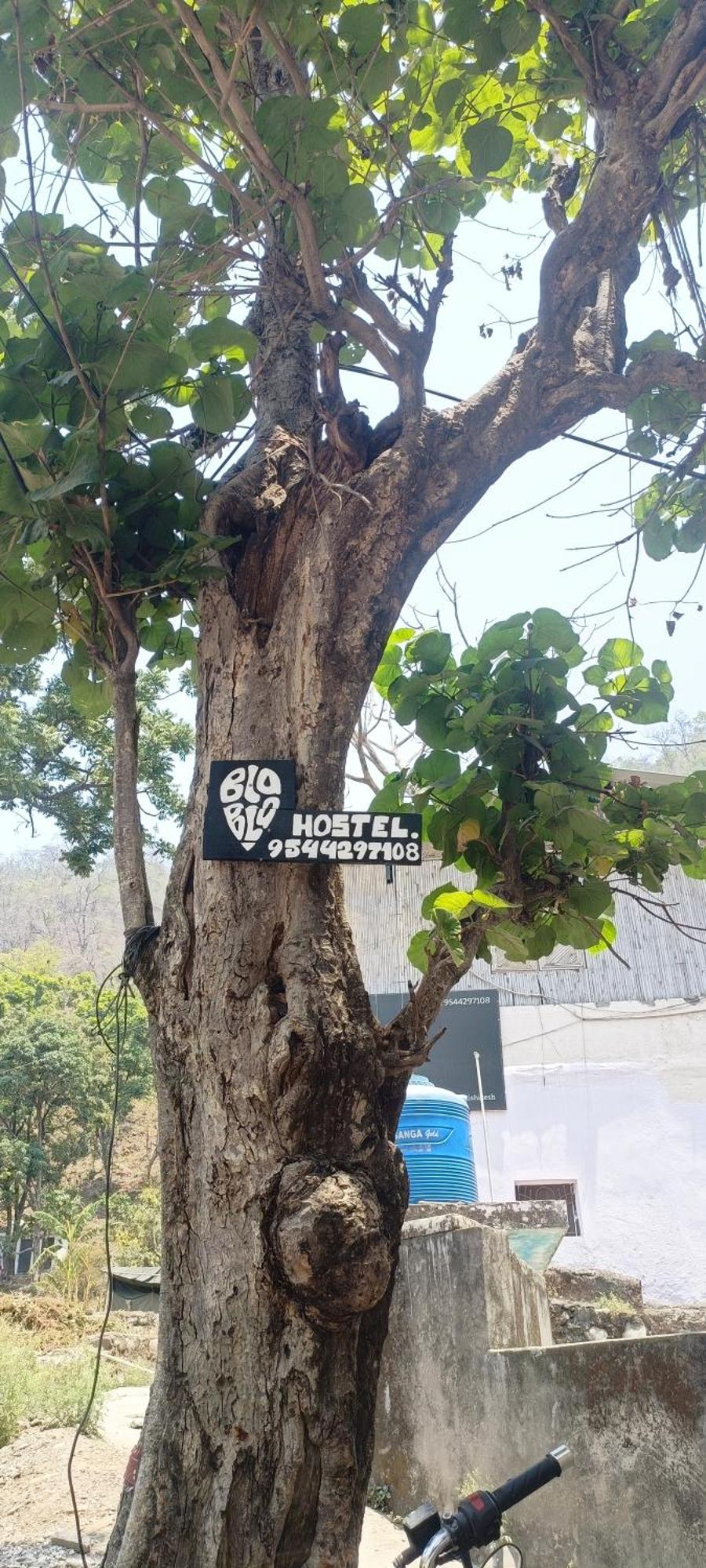 Blabla House Rishikesh 호스텔 외부 사진
